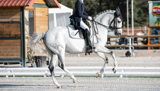 sarah-bedu-dressage-canter