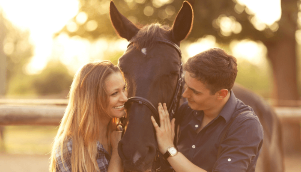horse_between_woman_and_man